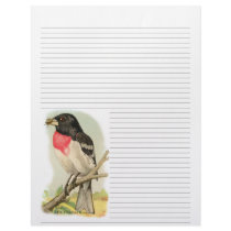 Vintage Rose Breasted Grosbeak Lined Letterhead