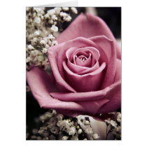 Vintage Rose card cards