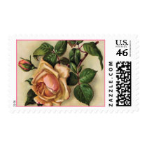*Vintage Rose* Flower Stamps stamps
