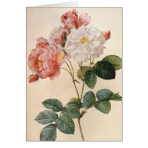 Vintage Rose Greeting Card