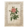 vintage, rose, pink, antique, retro, flower,
