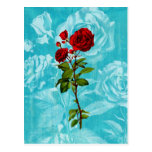 Vintage Rose Post Card