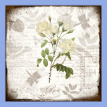 Vintage Rose posters