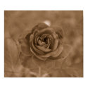Vintage Rose Print