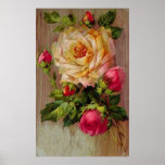 Vintage Rose Print