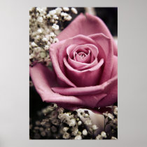 Vintage Rose print posters