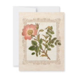 Vintage Rose Sixtieth Birthday Party Invitation