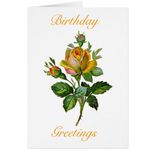 vintage roses birthday card