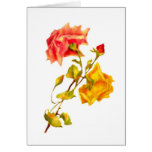 Vintage Roses Card