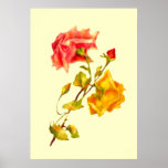 Vintage Roses Fine Art Print