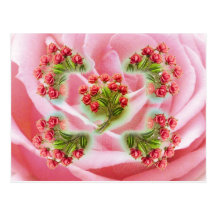 Vintage Roses Postcard