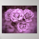 Vintage Roses Purple Print