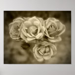 Vintage Roses Sepia Print
