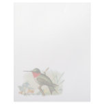 Vintage Ruby Throated Humming Bird Letterhead