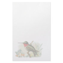 Vintage Ruby Throated Humming Bird Stationery