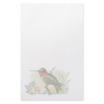 Vintage Ruby Throated Humming Bird Stationery
