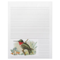 Vintage Ruby Throated Hummingbird Lined Letterhead