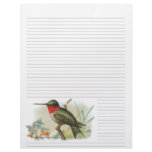 Vintage Ruby Throated Hummingbird Lined Letterhead