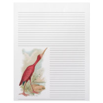 Vintage Scarlet Ibis Lined Letterhead