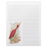 Vintage Scarlet Ibis Lined Letterhead