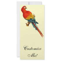 Vintage *Scarlet Macaw* Parrot Desing rack cards