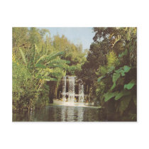 Vintage Schweitzer Falls postcards