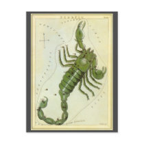Vintage Scorpio postcards by YesterdayCafe Vintage Scorpio postcards