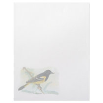 Vintage Scott Oriole Letterhead