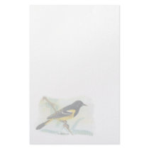 Vintage Scott Oriole Stationery