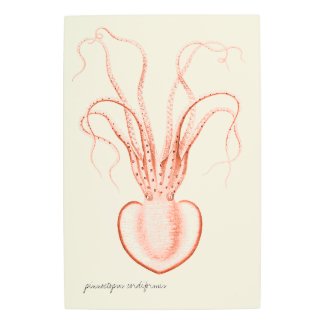 Vintage Sea Life Scientific Oceanography Octopus