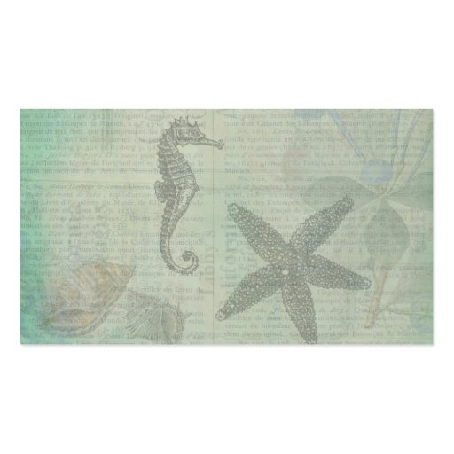 Vintage Sea Shells, Starfish, and SeaHorse Business Card (back side)