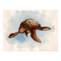 Vintage Sea Turtle Illustration Poster posters by naturetees Vintage Sea Turtle Illustration Poster posters