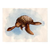 Vintage Sea Turtle Illustration Poster posters by naturetees Vintage Sea Turtle Illustration Poster posters