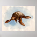 Vintage Sea Turtle Illustration Poster posters