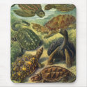 Vintage Sea Turtles mousepads