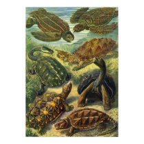 Vintage Sea Turtles posters by YesterdayCafe Vintage Sea Turtles posters