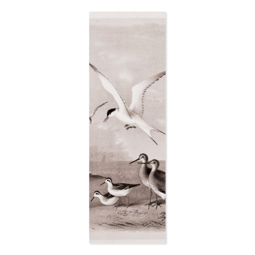 Vintage Seagulls Customized Retro Seagull Template Business Card (front side)