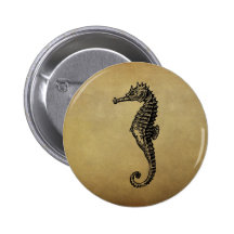 Vintage Seahorse Illustration Pin