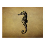 Vintage Seahorse Illustration Post Cards