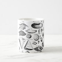 Vintage Seashells mugs