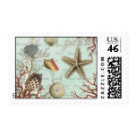 Vintage Seashells...postage stamp stamps