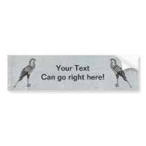 Vintage Secretary Bird Bumper Stickers