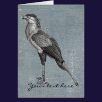 Vintage Secretary Bird cards