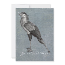 Vintage Secretary Bird Custom Invites