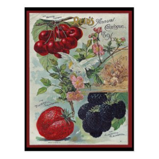 vintage seed catalog print postcards