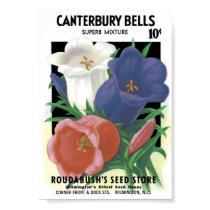 Vintage Seed Packet posters