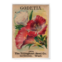 Vintage Seed Packets posters by woodylanefarm Vintage Seed Packets posters