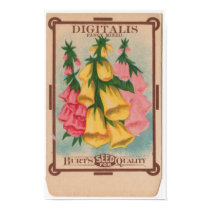 Vintage Seed Packets posters by woodylanefarm Vintage Seed Packets posters