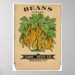 Vintage Seed Packets posters