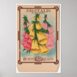 Vintage Seed Packets posters